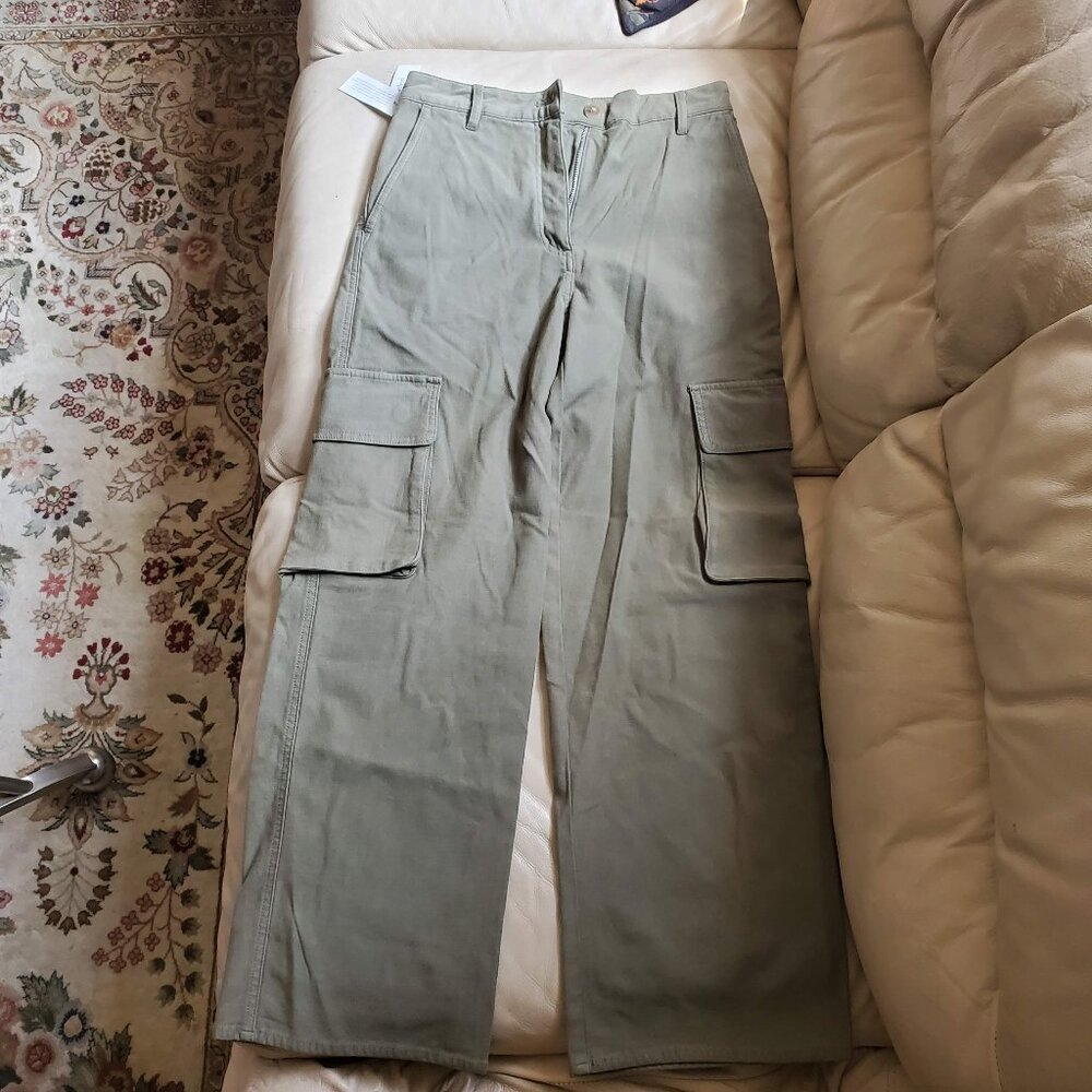 Aritzia Sage Cargo Pants